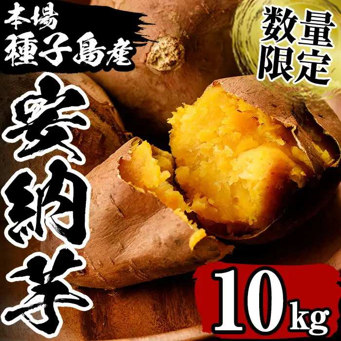 安納芋 さつまいも 10kg【永濱農園】n084