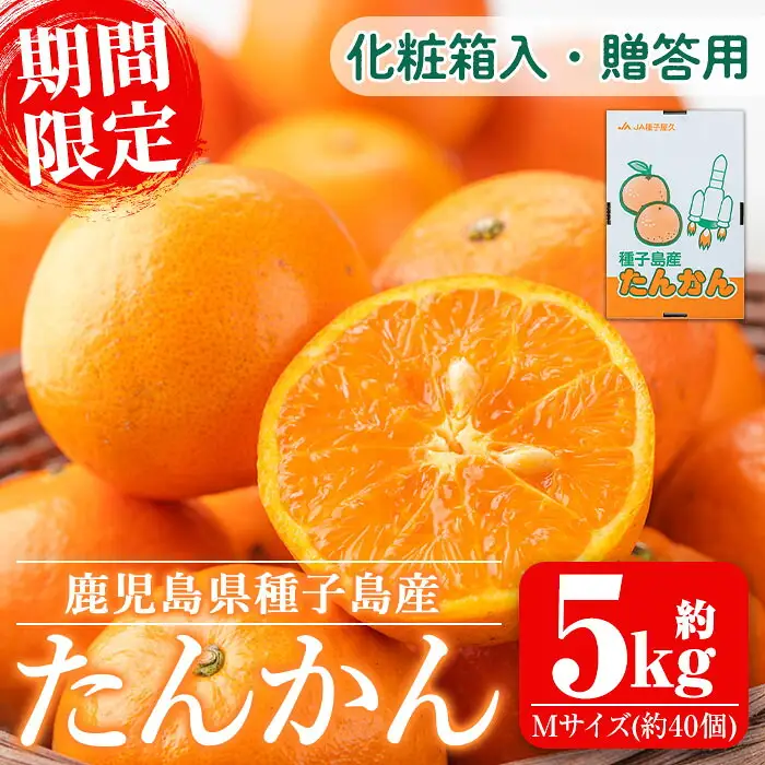 たんかん 5kg・約40個 鹿児島 柑橘 【種子屋久農業協同組合】n204 9,360円