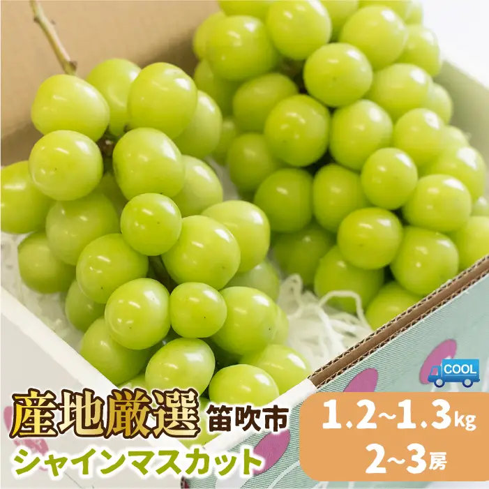 【2026年発送★先行予約】【順次発送】 産地厳選シャインマスカット1.2kg～1.3kg（2房～3房）※沖縄・離島配送不可※ 106-003-sku03-26y｜シャインマスカット 発送 笛吹市 山梨県 フルーツ 果物 ぶどう 葡萄 大粒 おすすめ 贈答 ギフト 産地 笛吹 国産 人気