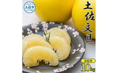 【先行予約】【訳あり】高知県産 土佐文旦 家庭用 約10kg 16?24玉入 〈2027年2月?発送〉 高知県 土佐市【株式会社種田農園】[BQBW002] [BQBW002]