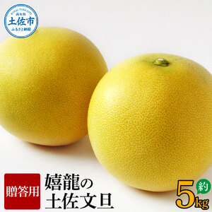 【先行予約】嬉龍の土佐文旦　贈答用　2〜3Ｌサイズ　約5kg〈2027年1月中旬?発送〉【嬉龍】[BQAY003]