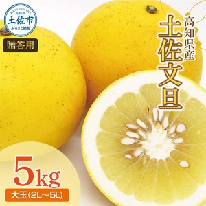 【先行予約】土佐文旦（大玉：2L~5L 混合）約5kg 〈2027年2月中旬?発送〉/ 土佐文旦発祥の地 産地直送 家庭用 贈答用 文旦 5キロ 約7?10玉 大玉 特大 3l 4l ぶんたん ブンタン 柑橘 【株式会社とさもん】 [BQAE028]