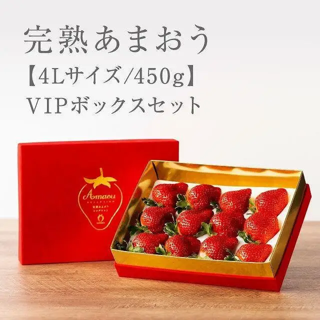 【2027年1月～4月出荷分予約販売】★希少4Lサイズ 450g ★赤のVIPボックスに入った宝石のような「完熟あまおう」！