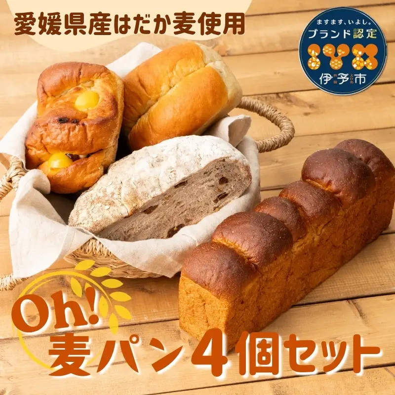 パン 無添加 老舗 4個セット ブレッド おまかせ ランダム 詰め合わせ ブランド認定 学校給食 朝食 朝ごはん 季節 おすすめ はだか麦 国産小麦 国産素材 おやつ こだわり 食物繊維豊富 安心 安全 篠崎ベーカリー 愛媛 伊予市 ｜B66