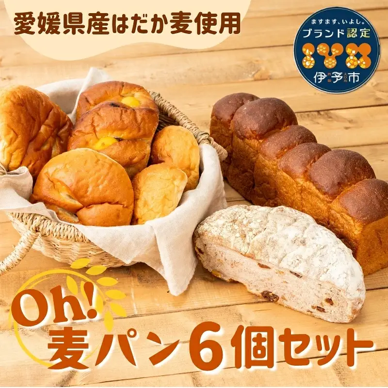 パン 無添加 老舗 6個セット ブレッド おまかせ ランダム 詰め合わせ ブランド認定 学校給食 朝食 朝ごはん 季節 おすすめ はだか麦 国産小麦 国産素材 おやつ こだわり 食物繊維豊富 安心 安全 篠崎ベーカリー 愛媛 伊予市 ｜B67