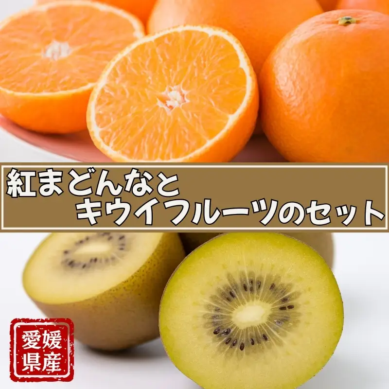 【2026年11月中旬より順次発送】サンゴールドまたはゴールドキウイと紅まどんなのセット｜B88