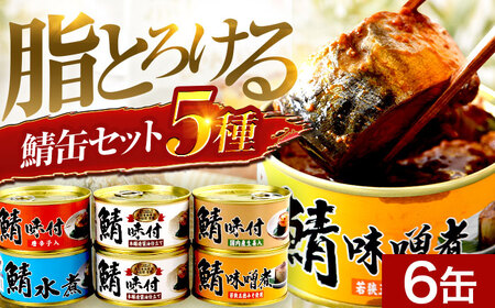 鯖缶詰6缶詰め合わせA / さば缶 缶詰 サバ 魚 小浜市 / 福井缶詰 [BFAB031]