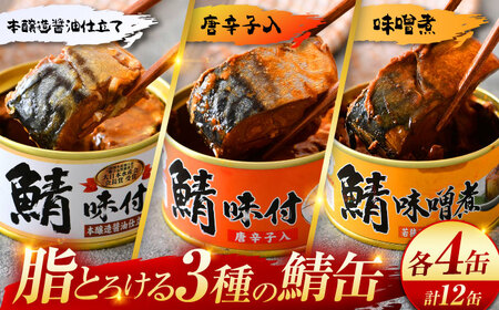 鯖缶詰12缶詰め合わせB / さば缶 缶詰 サバ 魚 小浜市 / 福井缶詰  [BFAB035]