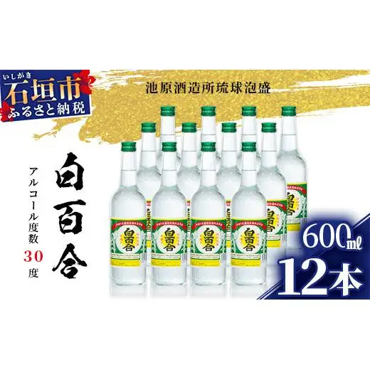 IK-9 池原酒造 白百合 600ml 30度 12本セット 
