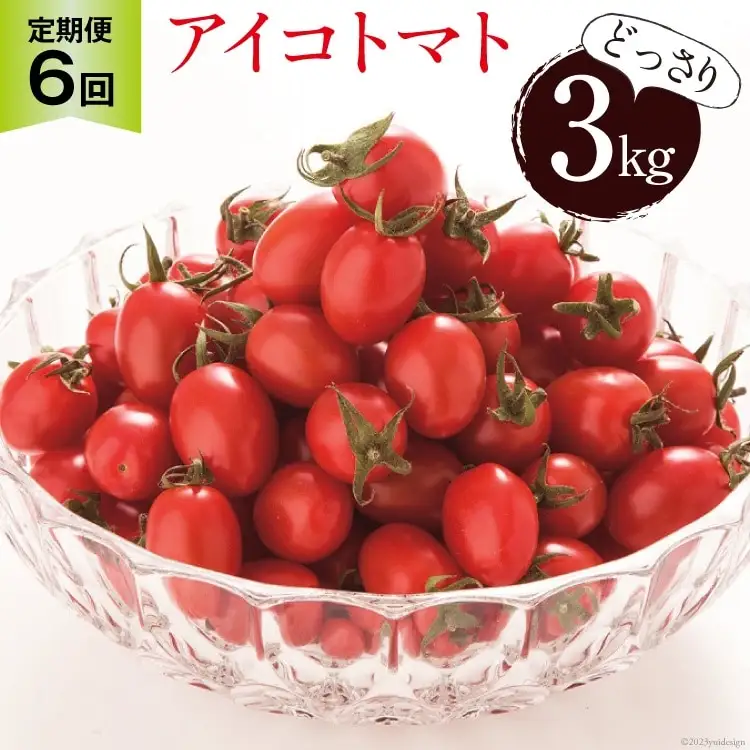 BG139【6回定期便】全国にファンがいる高級フルーツトマト アイコ どっさり！3kg