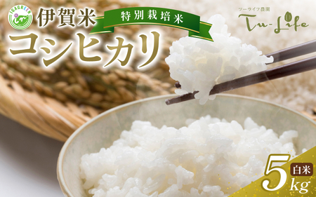 米 特別栽培米・伊賀米コシヒカリ 5kg コシヒカリ【tuli0001A】