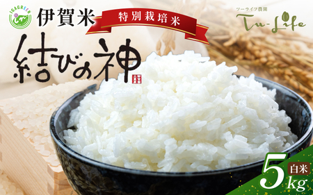 白米 特別栽培米・伊賀米結びの神 5kg【tuli0002A】