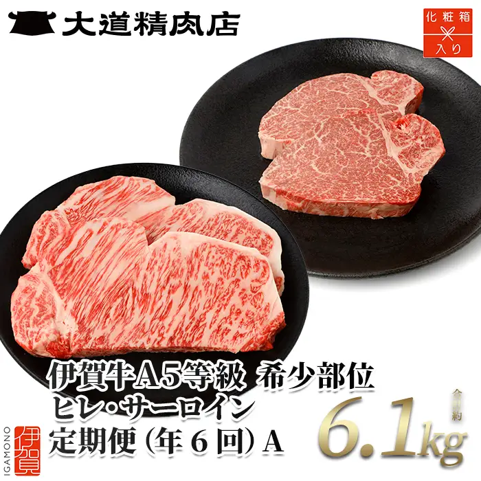 伊賀牛 【年6回】A5ヒレ・サーロイン 定期便A 総合計約6.1kg【dido-tkb0006】