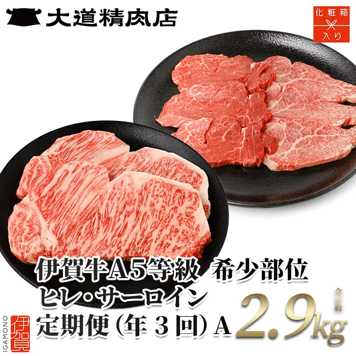 伊賀牛 【年3回】 A5 ヒレ・サーロイン 定期便A 総合計約2.9kg 伊賀牛 【dido-tkb0012】