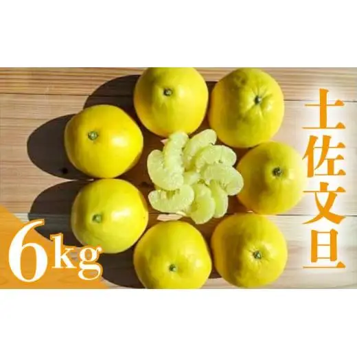 【早期予約】 土佐文旦 6kg 優品 混合