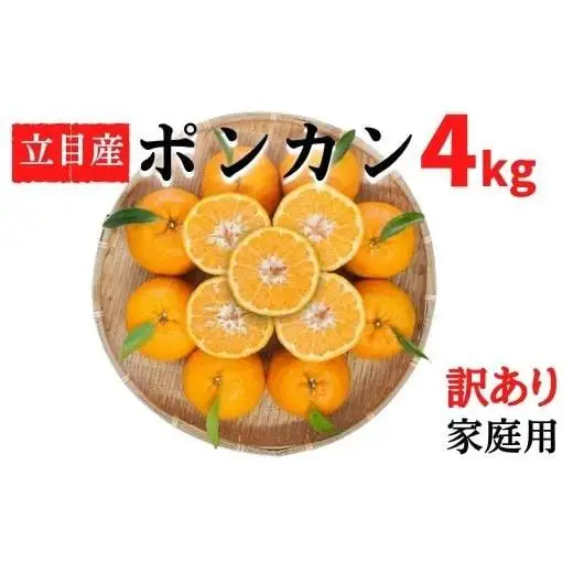 【早期予約】 訳あり 立目産ポンカン 4kg