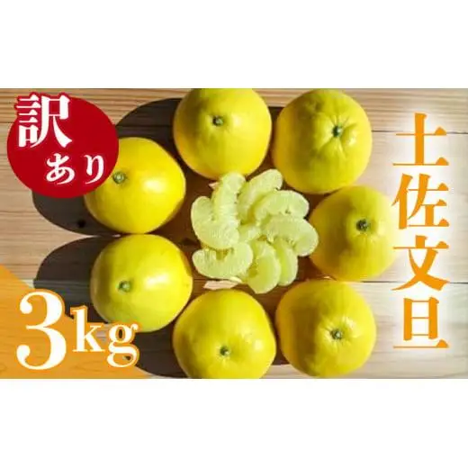 訳あり文旦 3kg