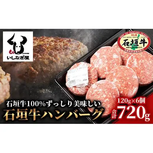 石垣牛ハンバーグ 120g×6個 AB-16-1