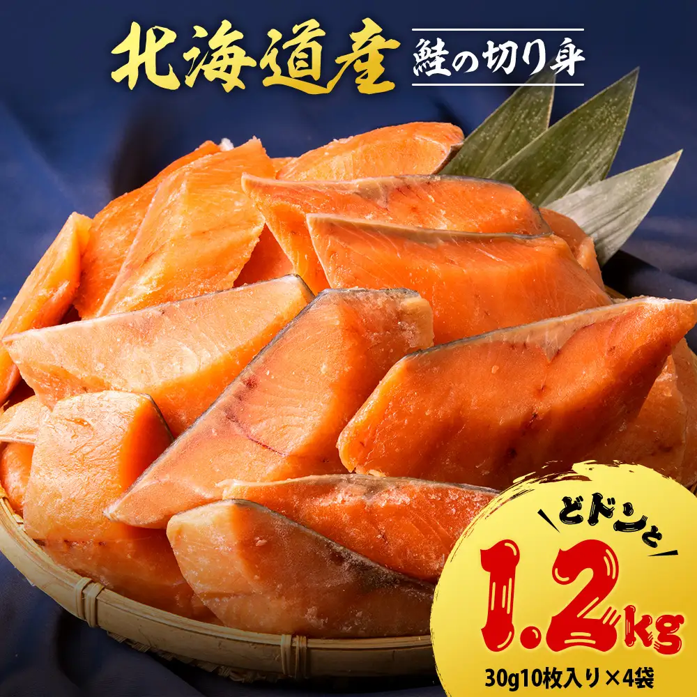 北海道産 鮭の切り身 30g10枚入×4袋〈北るもい漁業協同組合 天塩支所〉