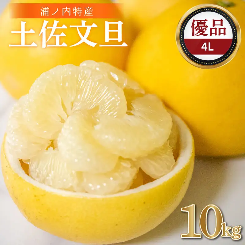 【早期予約開始 2027年2月頃より順次発送】 文旦 土佐文旦 10kg 4L サイズ 優品 贈答 果物 フルーツ 文旦 ぶんたん ブンタン 浦ノ内 みかん 蜜柑 柑橘 分担 旬 時期 数量限定 期間限定 予約開始 産地直送 美味しい おいしい 爽やか スイーツ おやつ デザート 皮 ピール 砂糖 漬け ビタミン ジューシー フレッシュ 新鮮 明神果樹園 高知県 須崎市