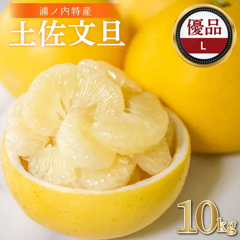 【早期予約開始 2027年2月頃より順次発送】  文旦 土佐文旦 10kg L サイズ 優品 贈答 果物 フルーツ 文旦 ぶんたん ブンタン 浦ノ内 みかん 蜜柑 柑橘 分担 旬 時期 数量限定 期間限定 予約開始 産地直送 美味しい おいしい 爽やか スイーツ おやつ デザート 皮 ピール 砂糖 漬け ビタミン ジューシー フレッシュ 新鮮 明神果樹園 高知県 須崎市