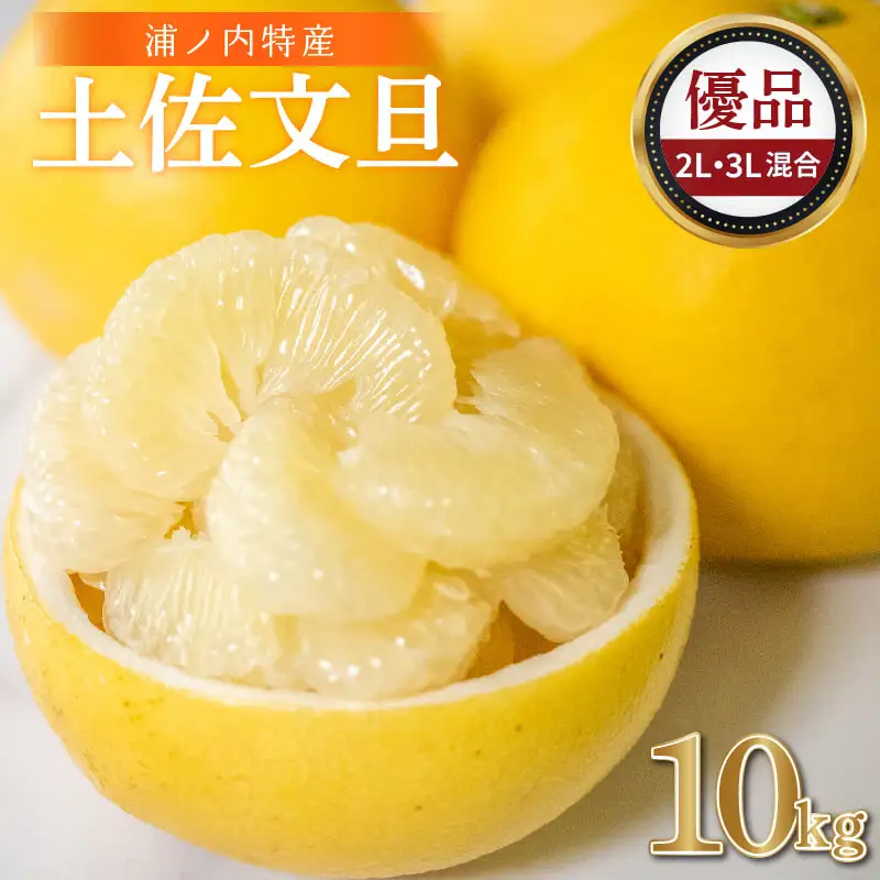 【早期予約開始 2027年2月頃より順次発送】 文旦 土佐文旦 10kg 2L ~ 3L サイズ 優品 贈答 果物 フルーツ 文旦 ぶんたん ブンタン 浦ノ内 みかん 蜜柑 柑橘 分担 旬 時期 数量限定 期間限定 予約開始 産地直送 美味しい おいしい 爽やか スイーツ おやつ デザート 皮 ピール 砂糖 漬け ビタミン ジューシー フレッシュ 新鮮 明神果樹園 高知県 須崎市