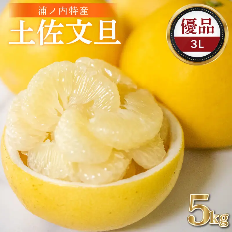 【早期予約】 土佐文旦5kg3L 