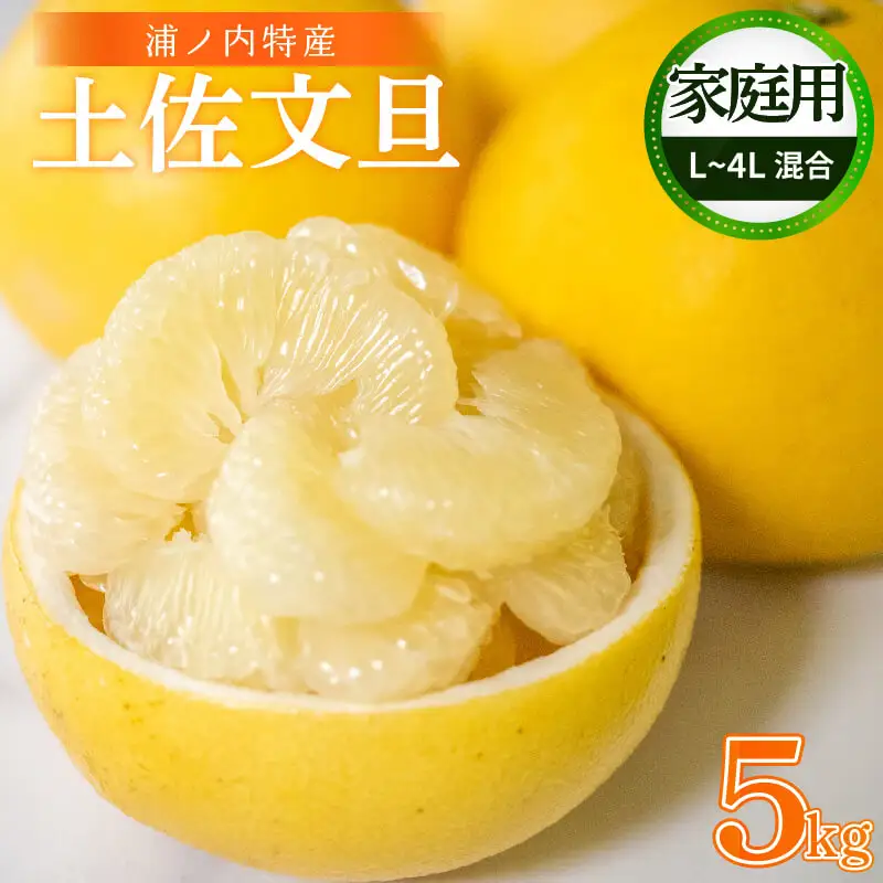 【早期予約】 訳あり 家庭用 土佐文旦5kg L ~ 4L 