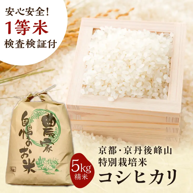 2026年産 京都・京丹後峰山 特別栽培米コシヒカリ 5kg 【白米】 1等米 検査済証付 米 ふるさと納税 コシヒカリ ふるさと納税 白米 ふるさと納税 お米 ご飯 ごはん おいしい コメ コシヒカリ
