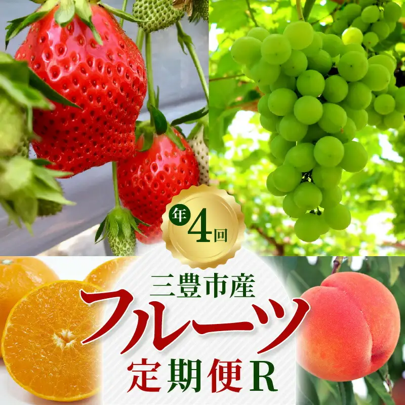 三豊市産 人気の厳選フルーツ定期便R(年4回)