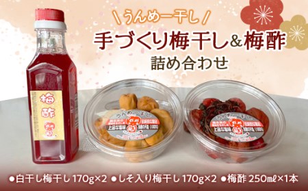 手作り「うんめー干し」と梅酢の詰め合わせ（梅干し2種、梅酢1本） 梅干し うめぼし 梅 しそ梅 セット 群馬県 渋川市 F4H-0175