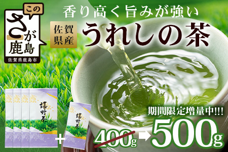 期間限定増量【ギフトにおすすめ】佐賀県産 うれしの茶 (やぶきた茶) 100g×5本【合計500g】美味しいお茶を贈り物に B-570