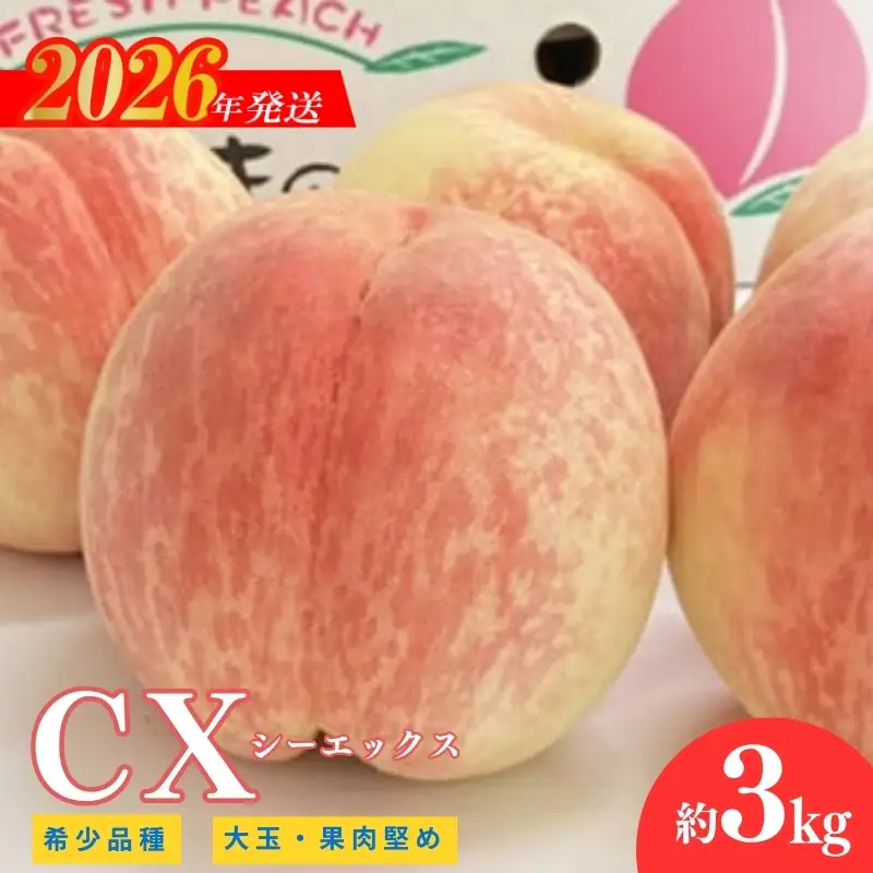 No.2580希少品種CX/シ－エックス 約3kg【2026年発送　先行受付】