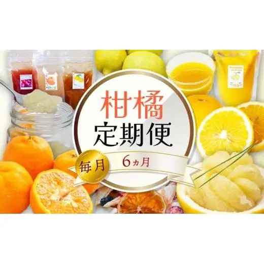 定期便 6回 6ヶ月 果物 ぽんかん 土佐文旦 レモン はっさく 小夏 ジュース