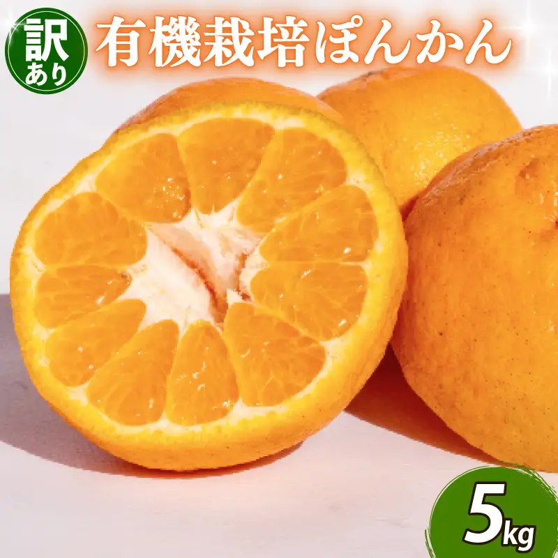 【先行予約】 【早期受付】 ぽんかん 5kg 訳あり 2027年2月より順次発送 須崎市 9,450円
