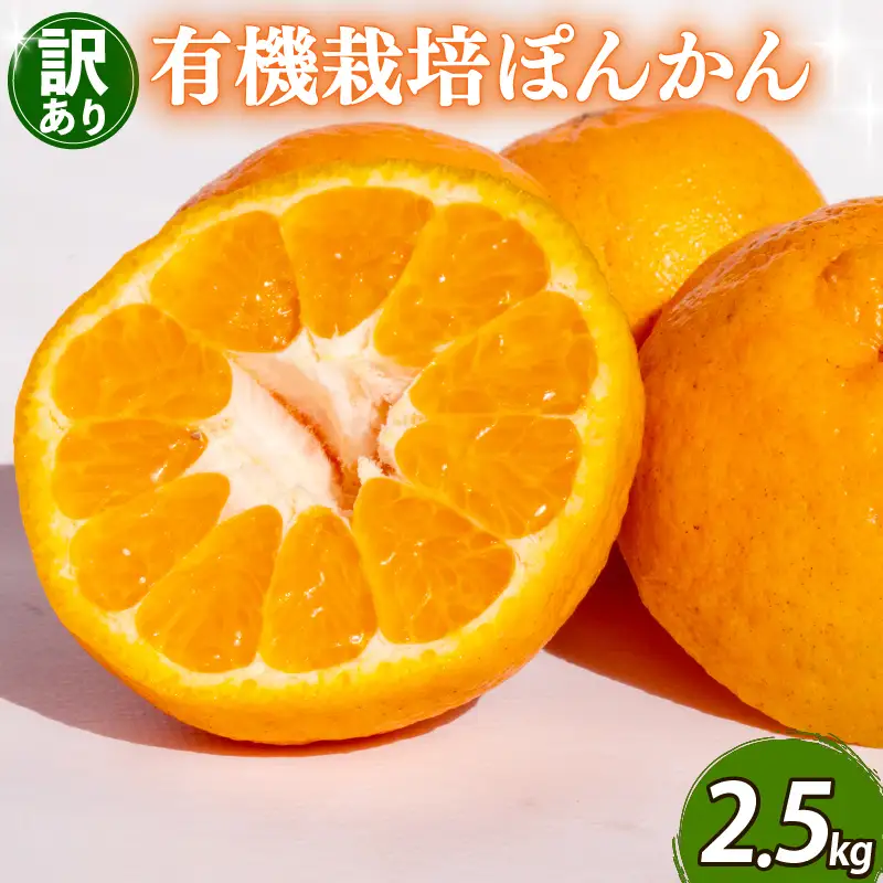 【先行予約】 【早期受付】 訳あり ぽんかん 2.5kg 2027年2月より 順次発送 高知県 須崎市