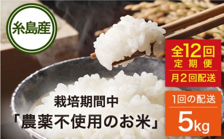 【全12回（月2回）定期便】栽培期間中 農薬不使用のお米 ヒノヒカリ 5kg 糸島市 / シーブ [AHC058]