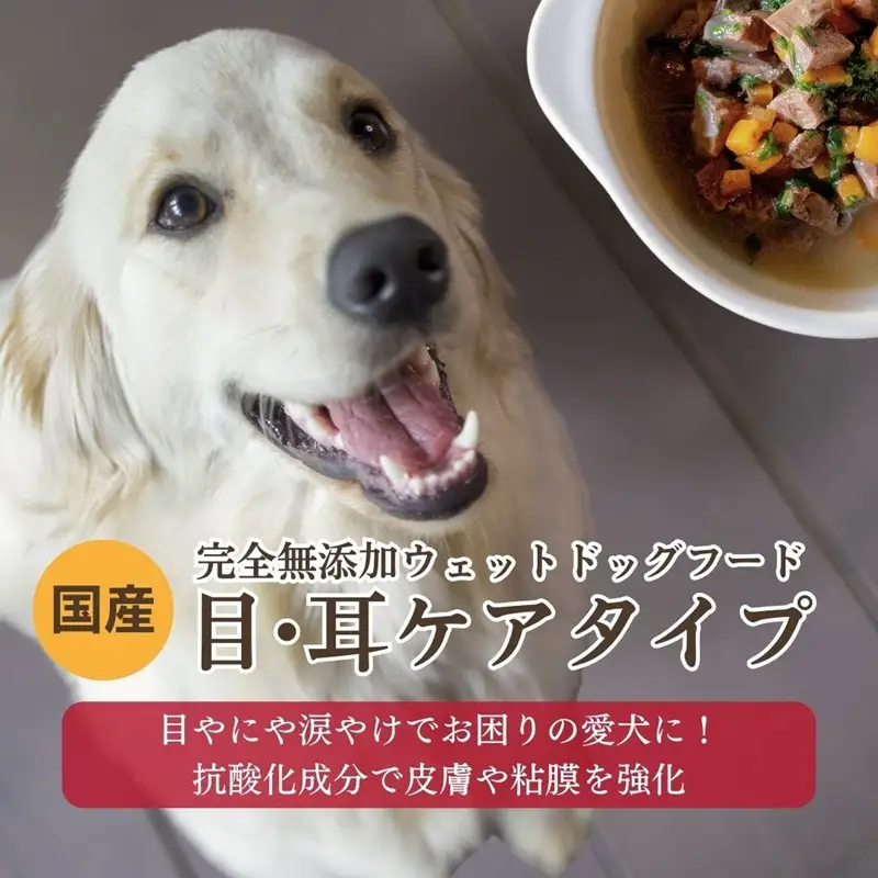 【国産ドッグフード】[無添加ウェットドッグフード] 目・耳ケアタイプ (5パック)野菜と鹿肉ドッグフード　ウェットドッグフード／無添加／ペットケア／ペットフード／国産／犬／犬のエサ／餌／シニア犬