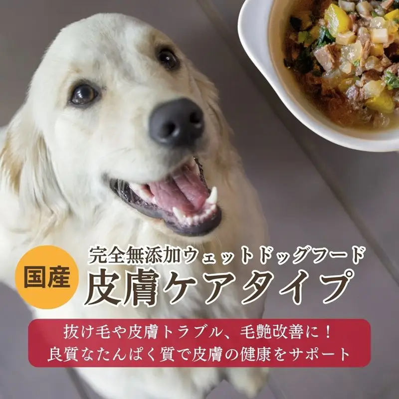 ウェットドッグフード 無添加 国産 皮膚ケアタイプドッグフード 野菜と鹿肉 5パック