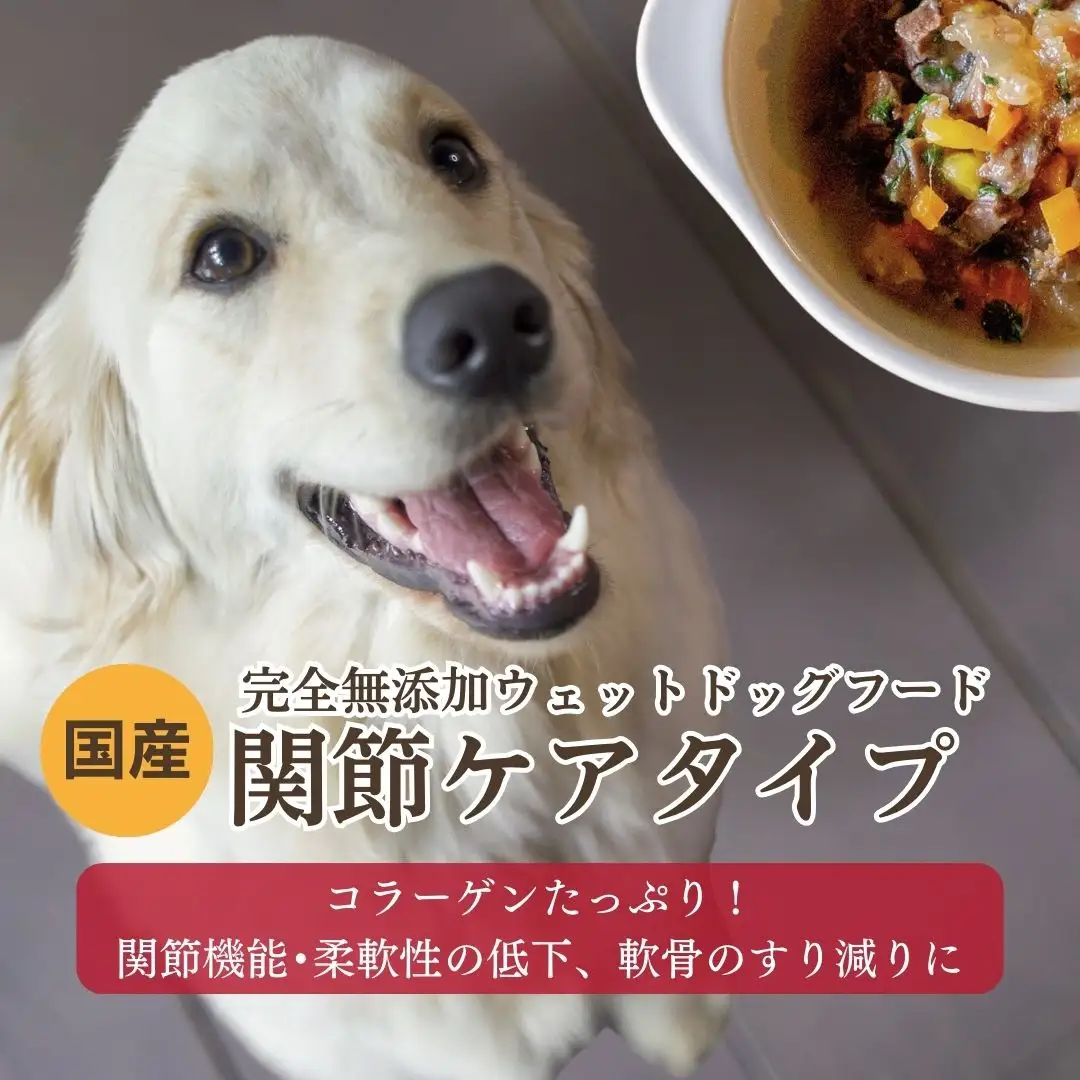 【国産ドッグフード】	[無添加ウェットドッグフード] 関節ケアタイプ (5パック)野菜と鹿肉ドッグフード　ウェットドッグフード／無添加／ペットケア／ペットフード／国産／犬／犬のエサ／餌／シニア犬
