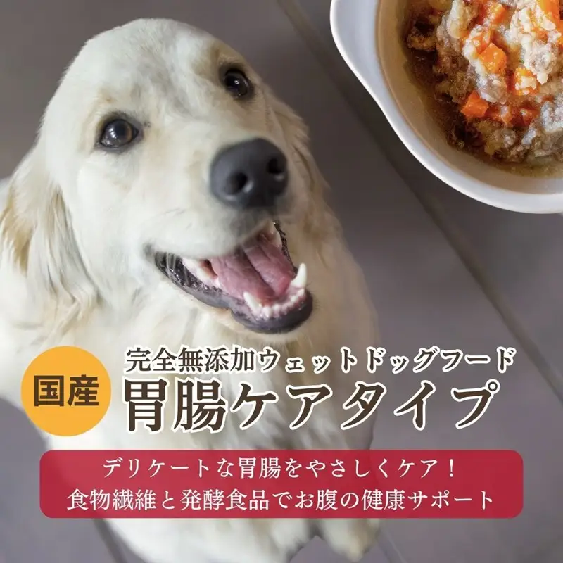 【国産ドッグフード】野菜と鹿肉ドッグフード	[無添加ウェットドッグフード] 胃腸ケアタイプ (5パック)　ウェットドッグフード／無添加／ペットケア／ペットフード／ドッグフード 国産／犬／犬のエサ／餌