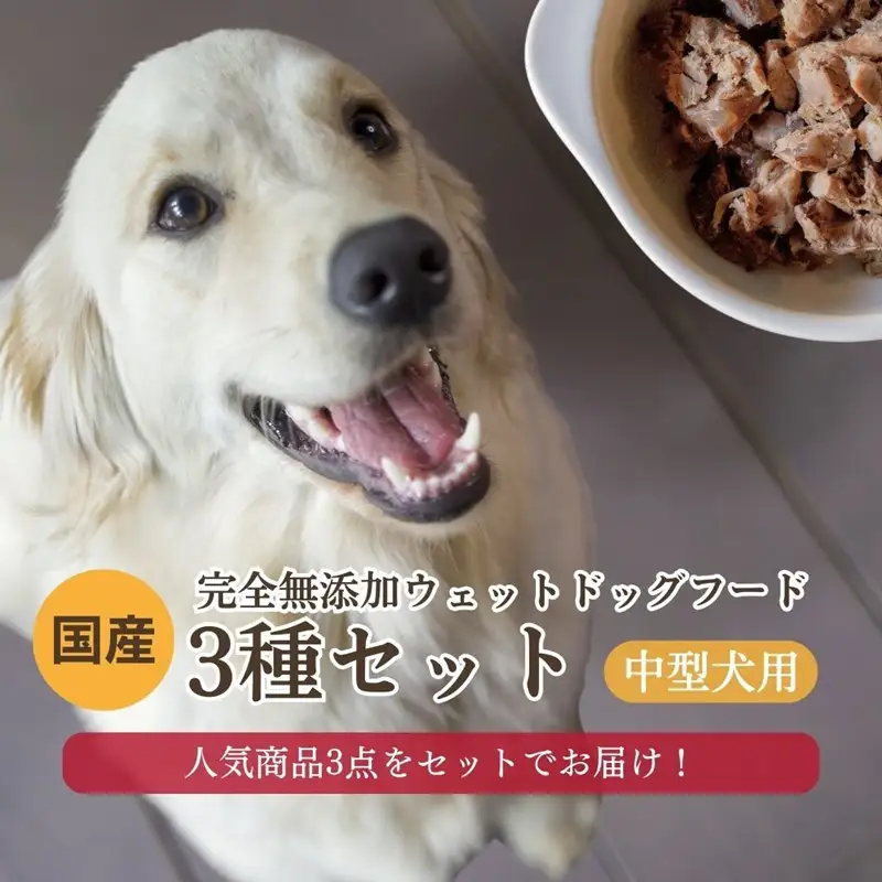 【国産 ドッグフード】【中型犬用】3種セット 中型犬用のゆで鹿肉、鹿の骨のスープ、野菜と鹿肉ドッグフードのセット ウェットドッグフード／無添加／高タンパク／低脂肪／犬／ダイエット／ペットフード／ドッグフード 国産／犬のエサ／餌