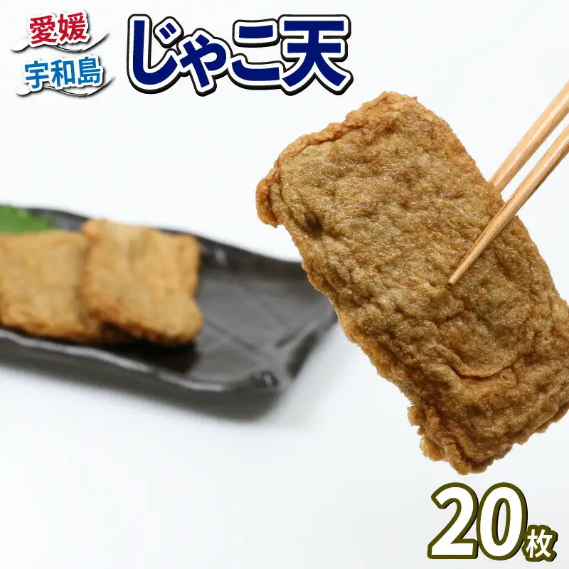 じゃこ天 20枚 詰合せ 森本蒲鉾店 蒲鉾 C012-046002