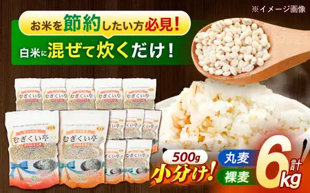 むぎくい亭(丸麦500g×6・裸麦500g×6) 計6kg / 麦 丸麦 はだか麦 裸麦 麦味噌 雑穀 雑穀米 食物繊維 長崎県産 米 こめ コメ ※ / 諫早市 / 有限会社伊東精麦 [AHBU002]