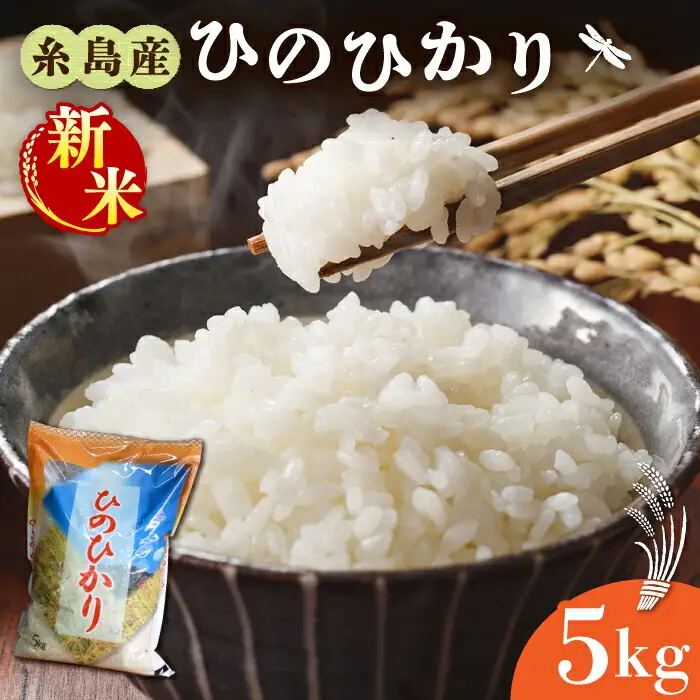 糸島産 ひのひかり 5kg 糸島市 / 三島商店 [AIM003] 米 白米