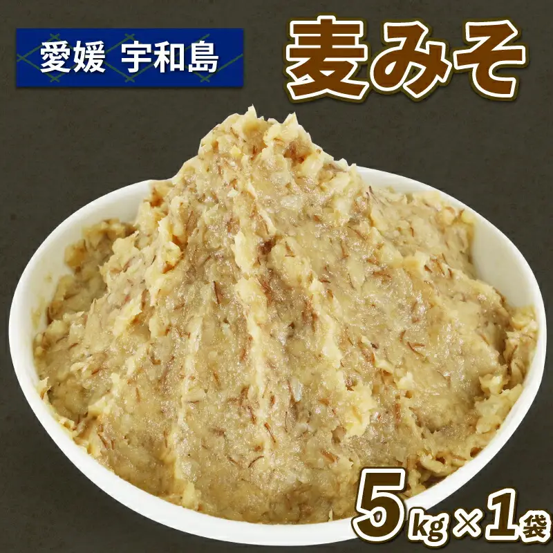 麦みそ 5kg 味噌 みそ 企業組合 津島 あぐり工房 J012-066005