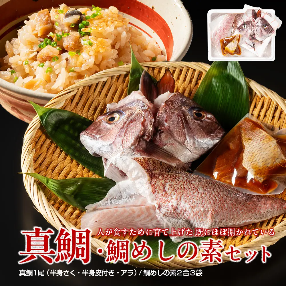 （冷蔵） 人が食すために育てられほぼ捌かれている 真鯛・鯛めしの素 セット ／ 友栄水産 鯛 真鯛 鯛めし お刺身 炙り 塩焼き 煮つけ 伊勢志摩 三重県 南伊勢町