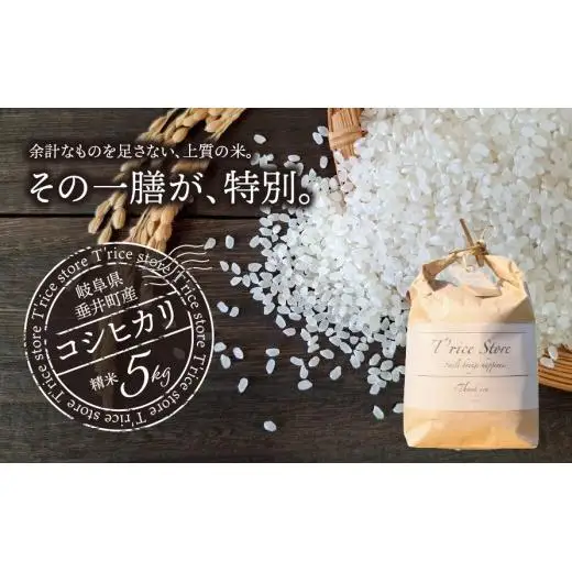 【数量限定】《令和7年産》岐阜県産 コシヒカリ（精米） 5kg | 垂井町産 米 白米 冷めても美味しい米 ブランド米 高品質 安心 安全 リピーター多数 贈答用 贈り物 ギフト プレゼント おしゃれ 人気 T rice Store