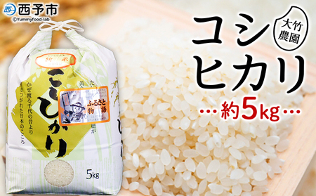 ＜令和8年産 大竹農園 コシヒカリ 約5kg＞ こしひかり コメ 白米 精米 ご飯 新鮮 旨味 大粒 ふっくら もちもち モチモチ お弁当 朝ごはん お昼ごはん 夜ごはん 特産品 愛媛県 西予市 【常温】『1か月以内に順次出荷予定』 UON0003