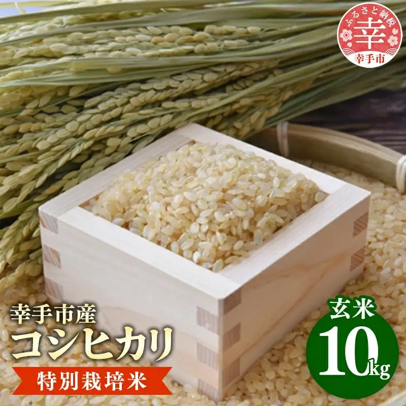 【令和7年産】有機肥料100％ 埼玉県幸手市産特別栽培コシヒカリ 玄米10kg - 2025年10月1週目より順次発送 新米発送 コシヒカリ こしひかり 米 玄米 10kg 有機肥料 特別栽培幸手市産 埼玉県 幸手市